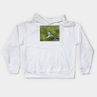 Tree swallow, wild birds, wildlife gifts Kids Hoodie